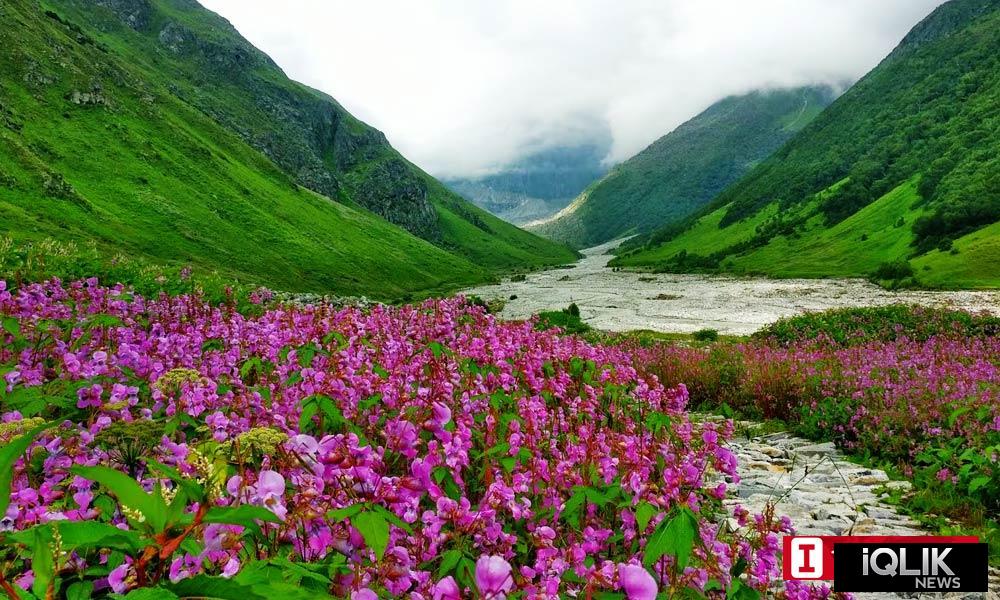 Valley of Flowers, Uttarakhand