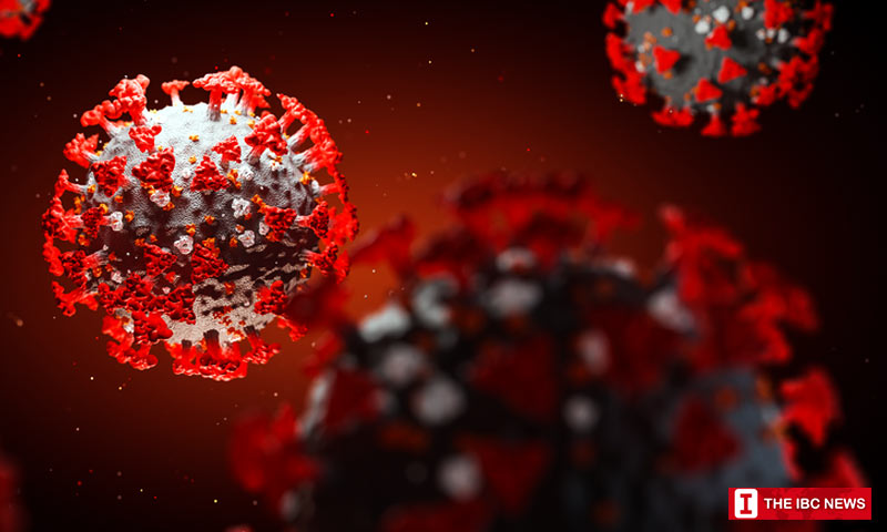 telangana COVID-19 cases