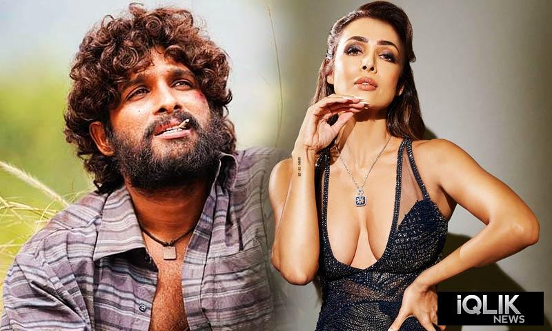 Malaika Arora pushpa 2