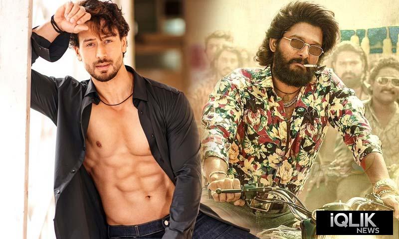 Tiger Shroff allu arjun news