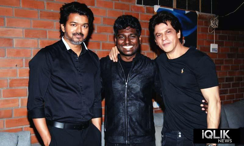 vijay atlee shahrukh khan
