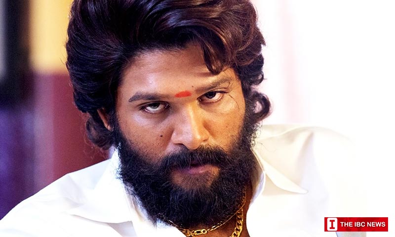 Icon star Allu arjun pushpa2 update