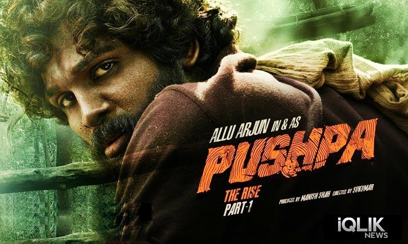 Allu Arjun's Pushpa the rise