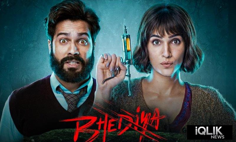 Bhediya Box Office