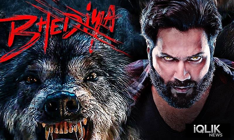 Bhediya Collection Day 3