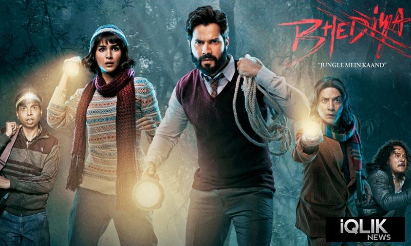 Bhediya collection report