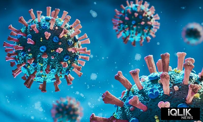 India COVID-19 cases