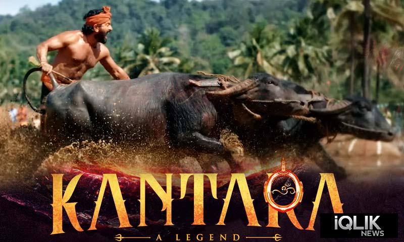 Kantara 350 cr collection