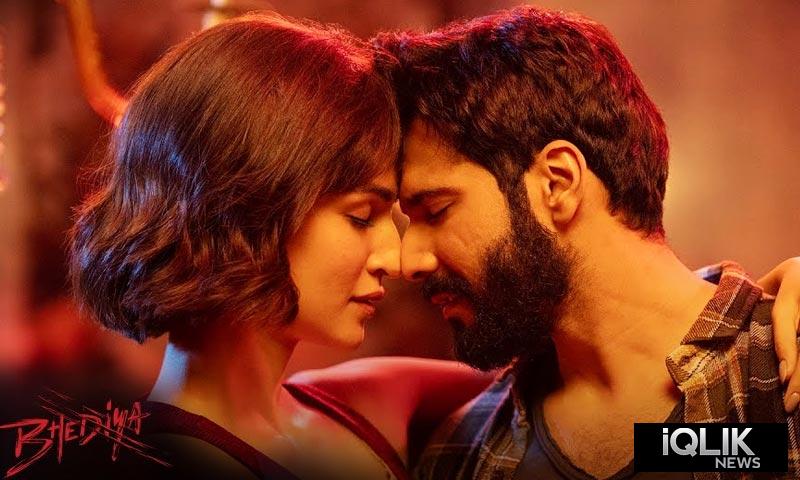 Bhediya movie collection
