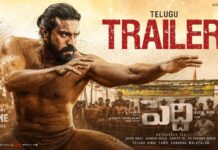 peddi trailer